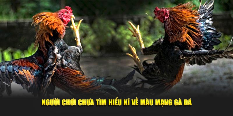 Người chơi chưa tìm hiểu kĩ về màu mạng gà đá